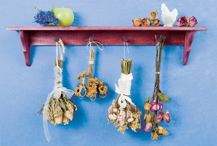 How to dry, preserve fresh flowers