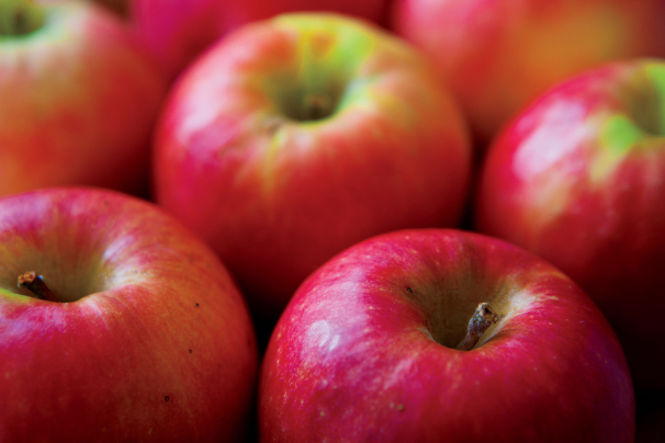 Nappanee Apple Festival