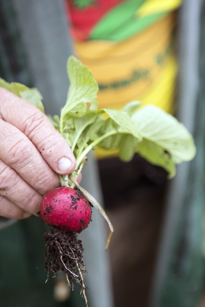 Portage Community Garden
