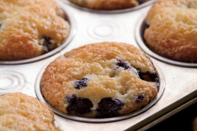 Dolly's Blueberry Gems