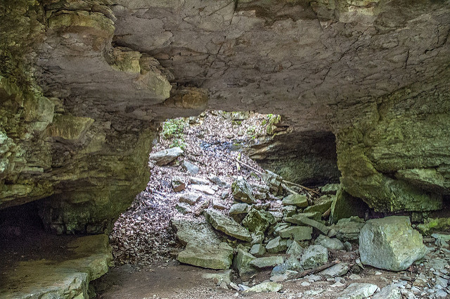 Wolf Cave
