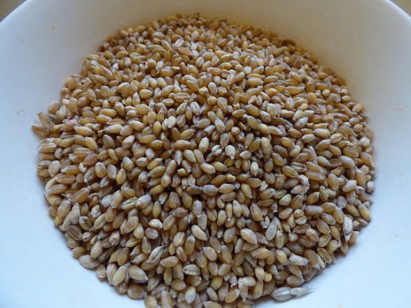 Soft White Wheat